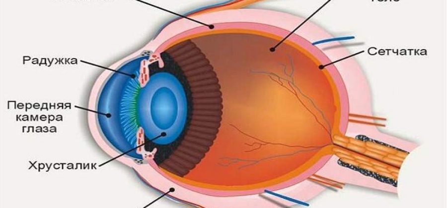 Укол в глаз от отека сетчатки глаза где лучше