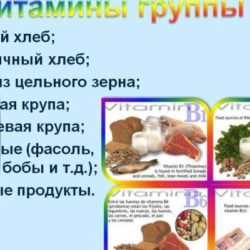 Какие витамины нужно пить при переломе ключицы?