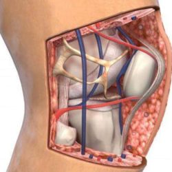 После ушиба колена болит под коленкой у икры