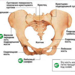 Перелом копчика симптомы и последствия у мужчин