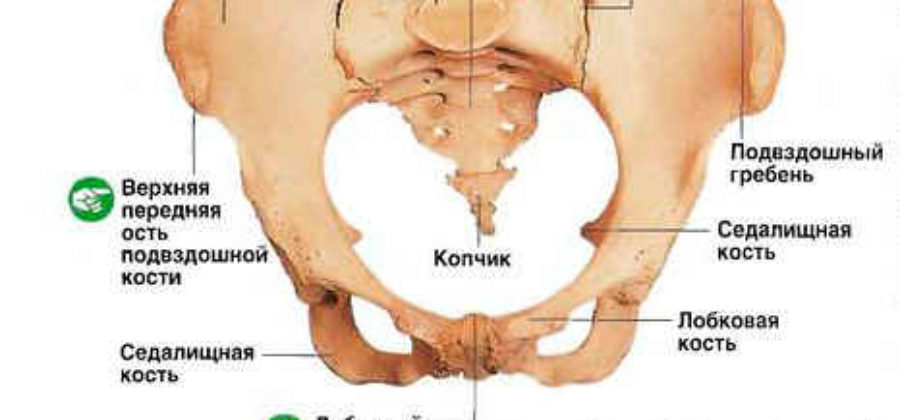 Перелом копчика симптомы и последствия у мужчин