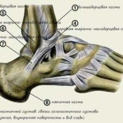 Ушиб и растяжение связок правого голеностопного сустава что делать
