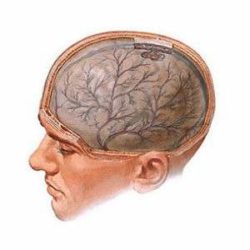 Отек мозга при метастазах в головной мозг
