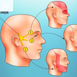 Почему немеет челюсть с левой стороны при ушибе?