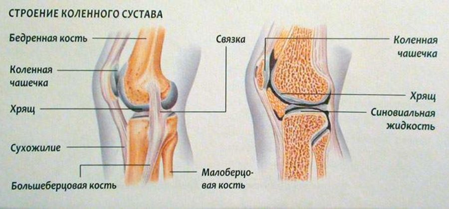 Срм терапия восстановление после травм и переломов