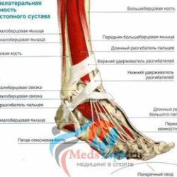 Как наклеить тейп на голеностоп при ушибах?