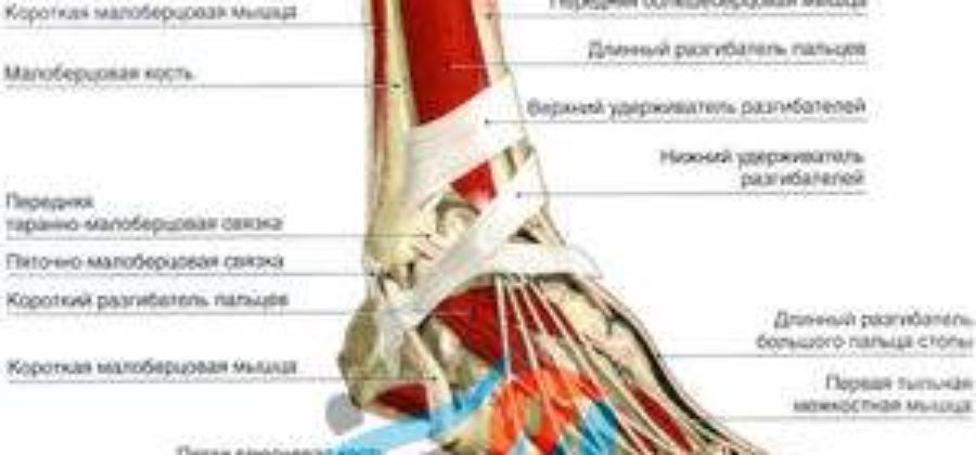 Как наклеить тейп на голеностоп при ушибах?