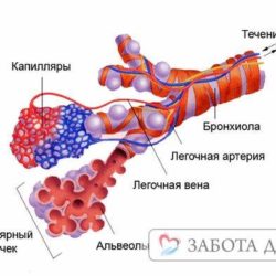 Чтобы не было отека легких у лежачих больных?