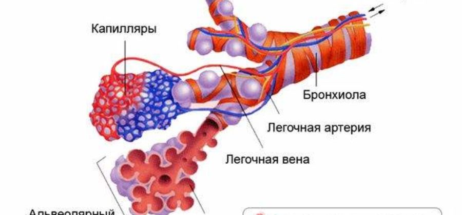 Чтобы не было отека легких у лежачих больных?