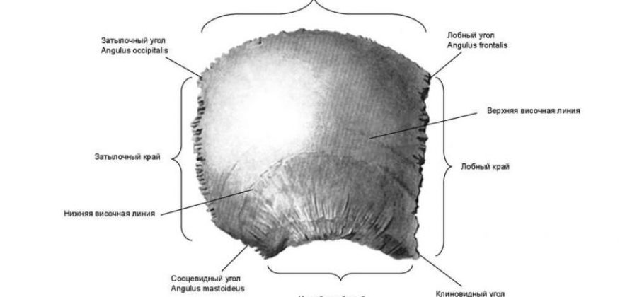 Перелом теменной кости у ребенка 5 месяцев